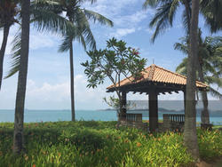 The Berth By The Cove (D4), Condominium #122374192